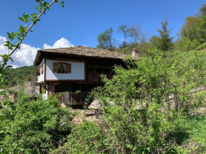  Q.pova house  Ковачевица